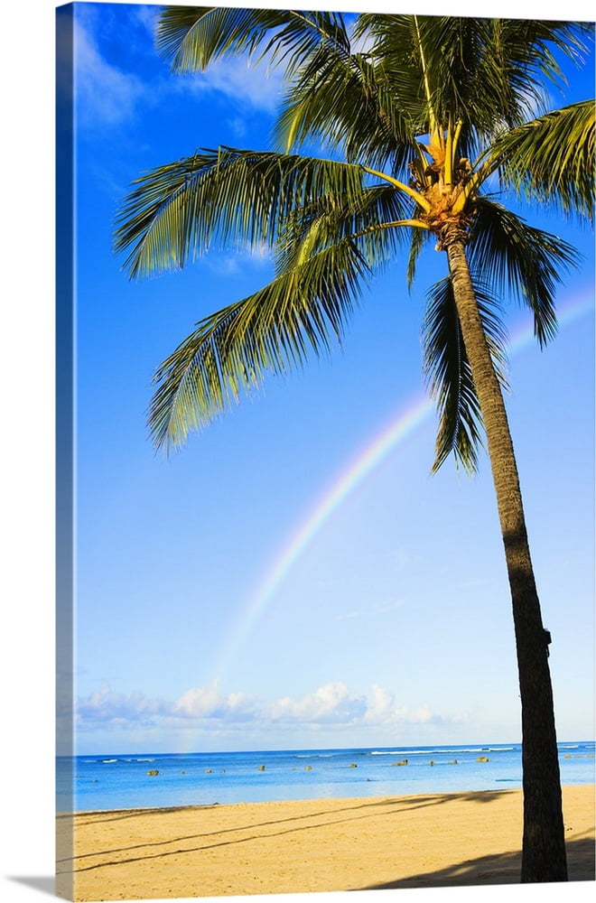 Great BIG Canvas | &quot;Hawaii, Oahu, Honolulu, Ala Moana Beach Park, Palm