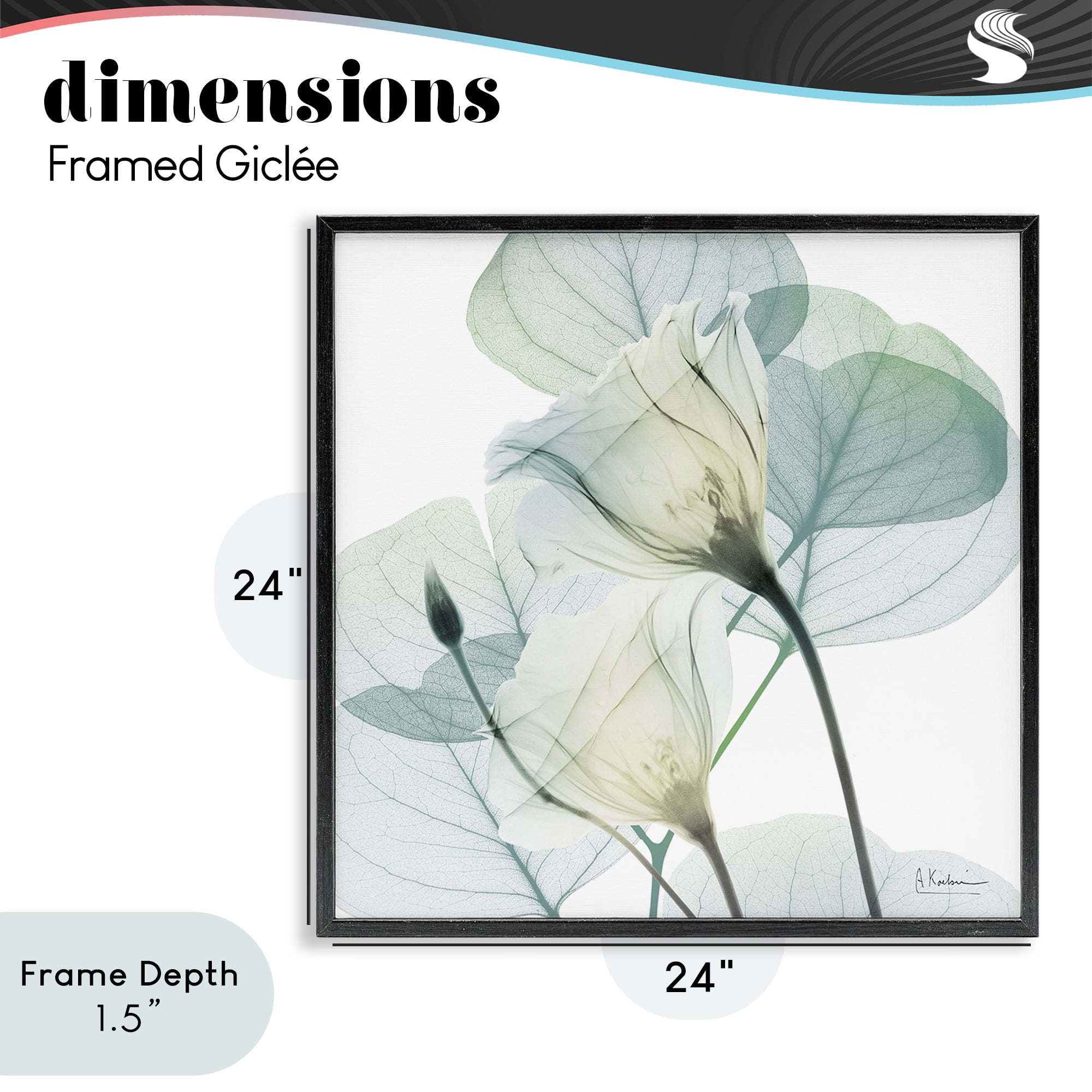 Stupell Industries Divine Fate Petals Black Framed Giclee Art, design by Albert Koetsier