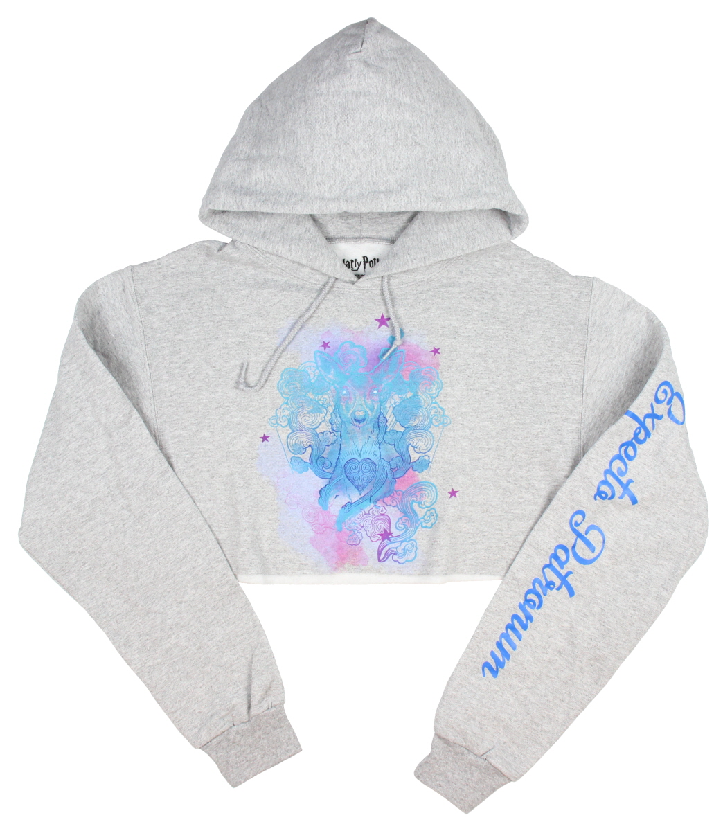 harry potter crop hoodie