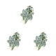 thumbnail image 1 of Wosthever Plantas de terrario de bajo mantenimiento: agregue vegetación a cualquier habitación Elegance Plants Dormitorio artificial Hoja de Type1 NO1, 1 of 6