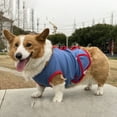 thumbnail image 3 of Paokuoon Pet Physiological Suit Pet Suit Stripe Printing Dog Recovery Clothes, 3 of 7
