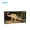 With packaging-2, variant on Cada Jurassic MOC 3 in 1 Giant Beast Tyrannosaurus Rex Fluorescent Building Blocks Jianlong Triceratops Swift Raptors Toy Gifts