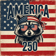 thumbnail image 3 of America 250 Patriotic Raccoon Graphic T-Shirt, Vintage USA Flag 4th of July Unisex Tee, 3 of 6