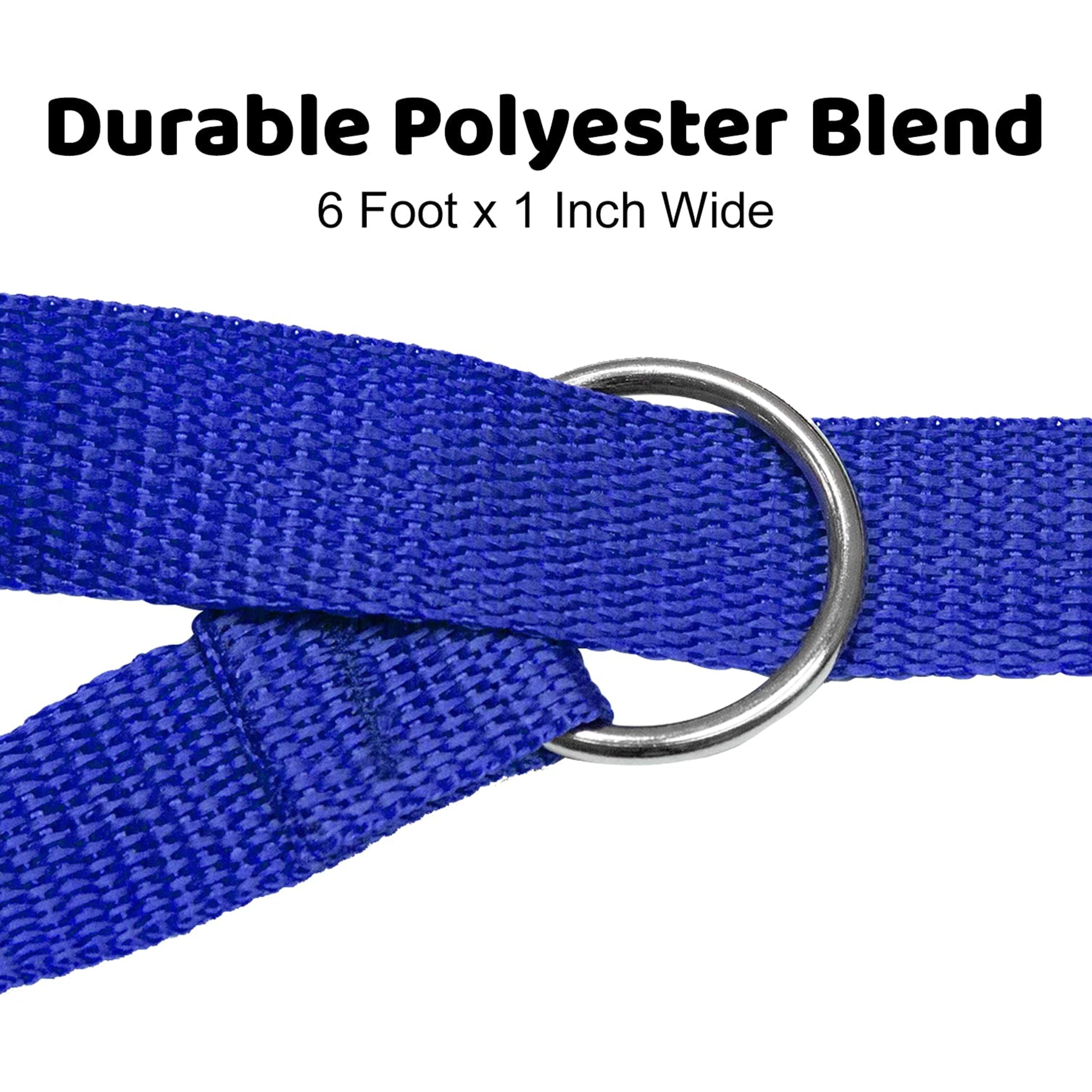 Downtown Pet Supply Slip Lead Dog Leash, Universal Slip Leash, O Ring, 12 Pk