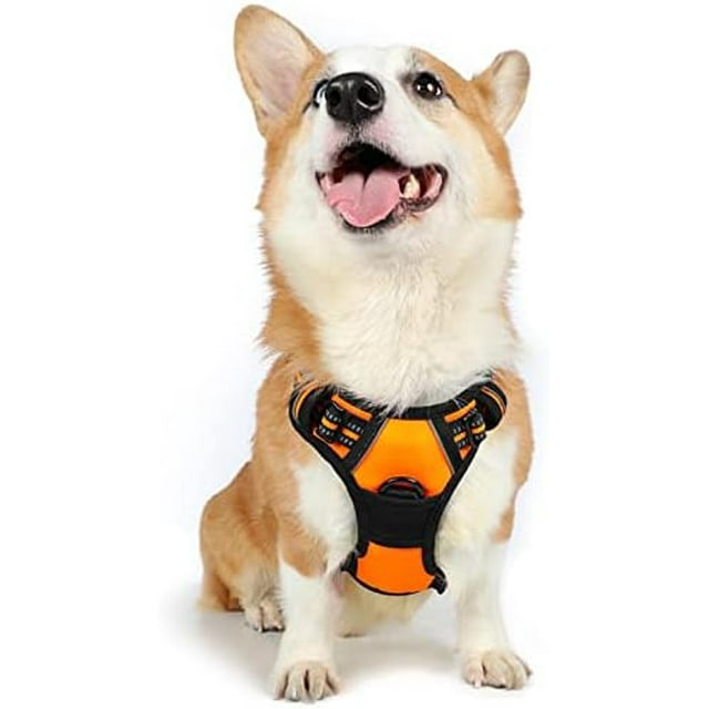 rabbitgoo Dog Harness No-Pull Pet Harness with 2 Leash Clips Adjustable Soft Padded Dog Vest Reflective No-Choke Pet Oxford Vest with Easy Control Handle for Large Dogs Teal L