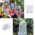 thumbnail image 5 of 100PCS Fruit Protection Bag Fruit Mesh Bag Plant Fruit Net Bag Breathable Protection Bag Bird and Insect Prevention Fruit Fly Barrier Bag Anti Bite Bird Pecking Orchards 20cmx30cm White, 5 of 9
