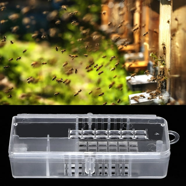 Rdeghly 10pcs Plastic Beekeeping Rearing Cup Kit Bee Queen Cages Beekeeper Equipment Tools, Bee Queen Cage, Bee Rearing Cup