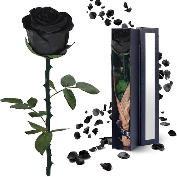Preserved Flowers Gifts for Women: Single Rose Black | Valentines Day Mothers Day Birthday Christmas