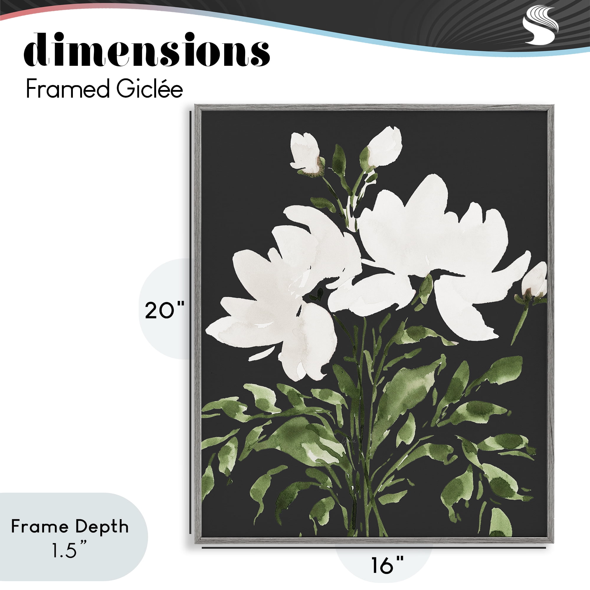 Stupell Industries White On Black Floral Gray Framed Giclee Art, design by Lucille Price