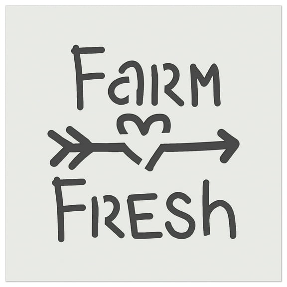 Farm Fresh Arrow Heart DIY Cookie Wall Craft Stencil - 5.5 Inch