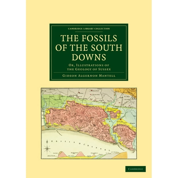 Cambridge Library Collection - Earth Sci The Fossils of the South Downs, (Paperback)