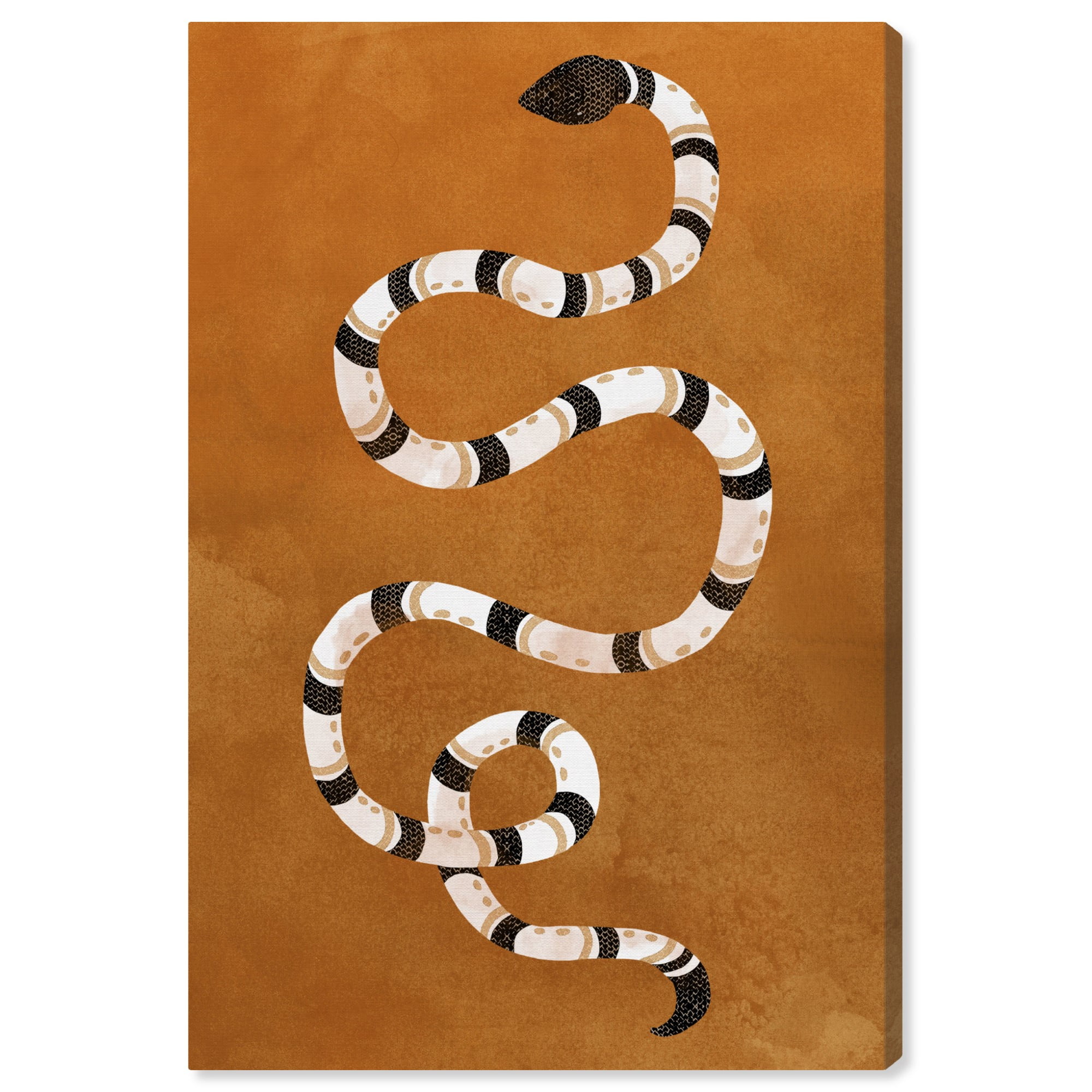 Runway Avenue Animals Wall Art Canvas Print 'Sunset Snake' Zoo and Wild Animals - Orange, White Runway Avenue Animals Wall Art Canvas Print 'Sunset Snake' Zoo and Wild Animals - Orange, White
