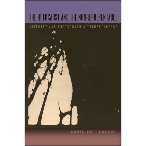 Suny Contemporary Jewish Thought The Holocaust and the Nonrepresentable: Literary and Photographic Transcendence, (Paperback)