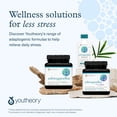 thumbnail image 7 of Youtheory Ashwagandha+GABA, 60 Vegetarian Capsules, 7 of 7