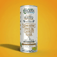 thumbnail image 3 of MycoBev Kiwi Mango Sparkling Water, 2000mg Mushroom Blend, 4-pack, 3 of 6