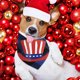 thumbnail image 4 of Alguien le dio a mi papá una bufanda de perro de cerveza bufanda conjunto de bufanda babero perro gato mascota animal MFZFUKR CPB-US-YY806-3, 4 of 5