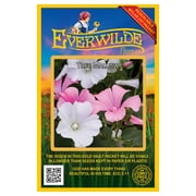 Everwilde Farms - 500 Tree Mallow Garden Flower Seeds - Gold Vault Jumbo Bulk Seed Packet