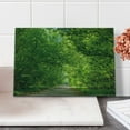 thumbnail image 2 of Landscape Cutting Board, Fresh Forest Canopy Trees over Footpath in an Old Park People Walking Natural Scenery, Decorative Tempered Glass Cutting and Serving Board, Small Size, Green, by Ambesonne, 2 of 5