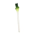 thumbnail image 2 of Tnarru Artificial Vegetable Centerpiece Simulation Vegetable for Drawing Party Shop Green Onions, 2 of 8