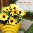 thumbnail image 6 of Alpine Corporation 16" Yellow Glazed Planter, 6 of 13