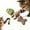 As Shown, variant on Natural Fishbone Cat Dental Toy, 7In Cat Chew Toy with Catnip & Natural Silvervine, Healthy Teeth Cleaning Dental Chew for Indoor Cats and All Cat Breeds with Edible Design