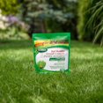 thumbnail image 4 of Scotts Turf Builder Small Lawns -Lawn Food 32-0-3, 4 of 6