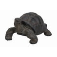 thumbnail image 1 of Estatua de tortuga pequeña de poliresina de Figuine Hi-Line Gift Ltd, 1 of 2