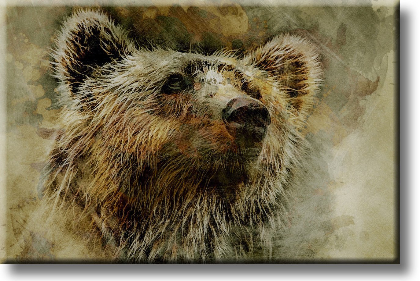 Grizzly Bear Picture on Stretched Canvas, Wall Art Decor, Ready to Hang