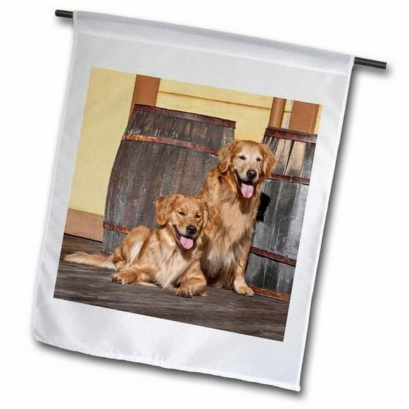 3dRose, Two Golden Retriever dogs - NA02 ZMU0156 - Zandria Muench Beraldo, 12 x 18 inch Garden Flag