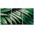 thumbnail image 3 of PixonSign Canvas Print Wall Art Set Glossy Jungle Palm Leaf Botanical Wilderness Photography Modern Art Contemporary Portrait Colorful Multicolor for Living Room, Bedroom, Office - 16"x24"x3, 3 of 5