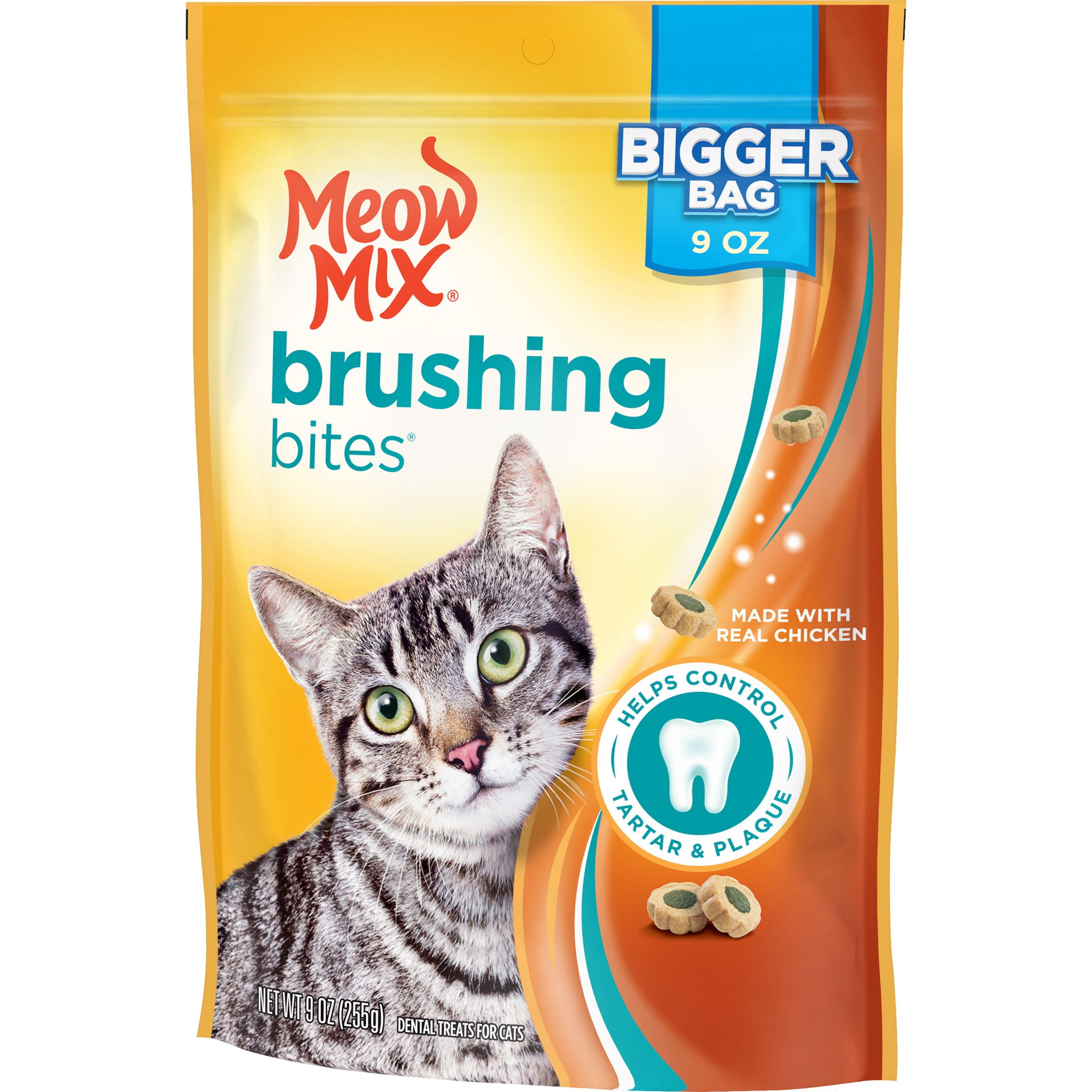 how much wet food for dog