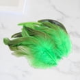 thumbnail image 6 of HOMYL 50 Pieces Feathers for Crafts Chicken Feather for Party Wedding Arrangements Green, 6 of 8