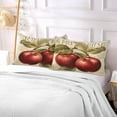 thumbnail image 7 of Vintage Apples Plush Pillowcase, Luxury Soft King Pillow Case for Hair and Skin, Standard Size Pillow Covers with Zipper Closure, 21x54in Home Decor Gifts, 7 of 7