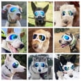 thumbnail image 2 of Gafas para Perros Namsan para Perros Grandes Protección Ocular Anti-UV Blanco, 2 of 8
