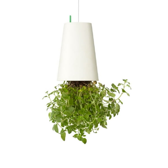 Maceta Colgante Invertida Mediana BOSKKE Sky Planter SKY-RM-WH-01