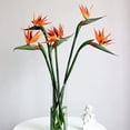 thumbnail image 5 of Sunjoy Tech Large Elegant Bird of Paradise, Real Touch Artificial Flowers Fake Plant for Home Office Garden Decoration/Wedding Party Decor, 5 of 8