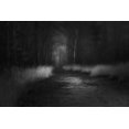 thumbnail image 2 of Dingemans, Saskia 32x23 White Modern Wood Framed Museum Art Print Titled - Shades In Black, 2 of 4