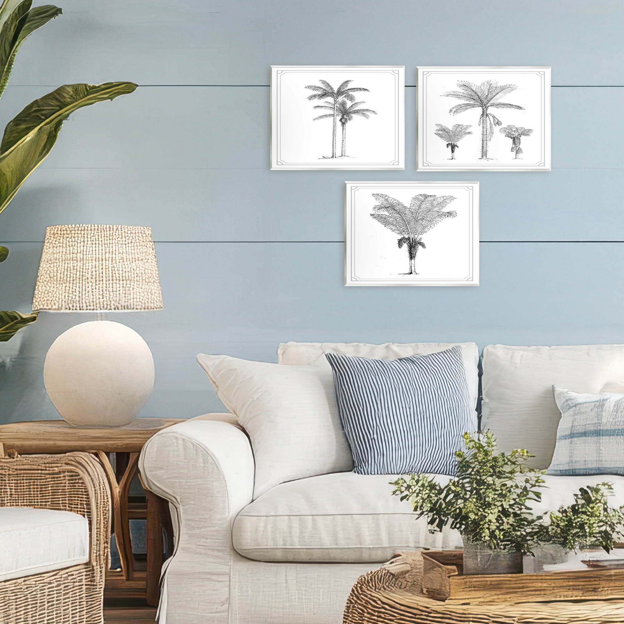 Minimal Vintage Palm Tree Sketches 3 Piece Wall Plaque Art Set, design by Lettered and Lined
