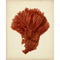 thumbnail image 3 of Vision Studio 12x14 Black Modern Framed Museum Art Print Titled - Antique Red Coral I, 3 of 5
