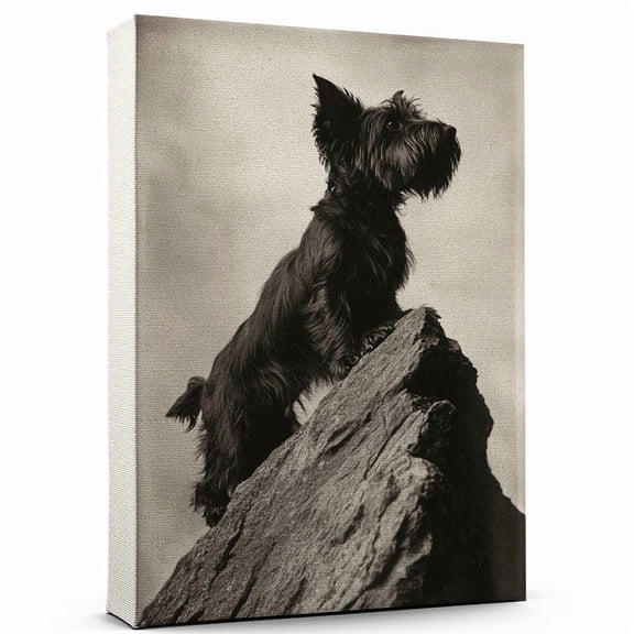 Skye Terrier Cute Dog Climbing Stretched Canvas Size 8x12 – Retro Skye Terrier Dog Batter in Action With Climbing for Themed Living Room