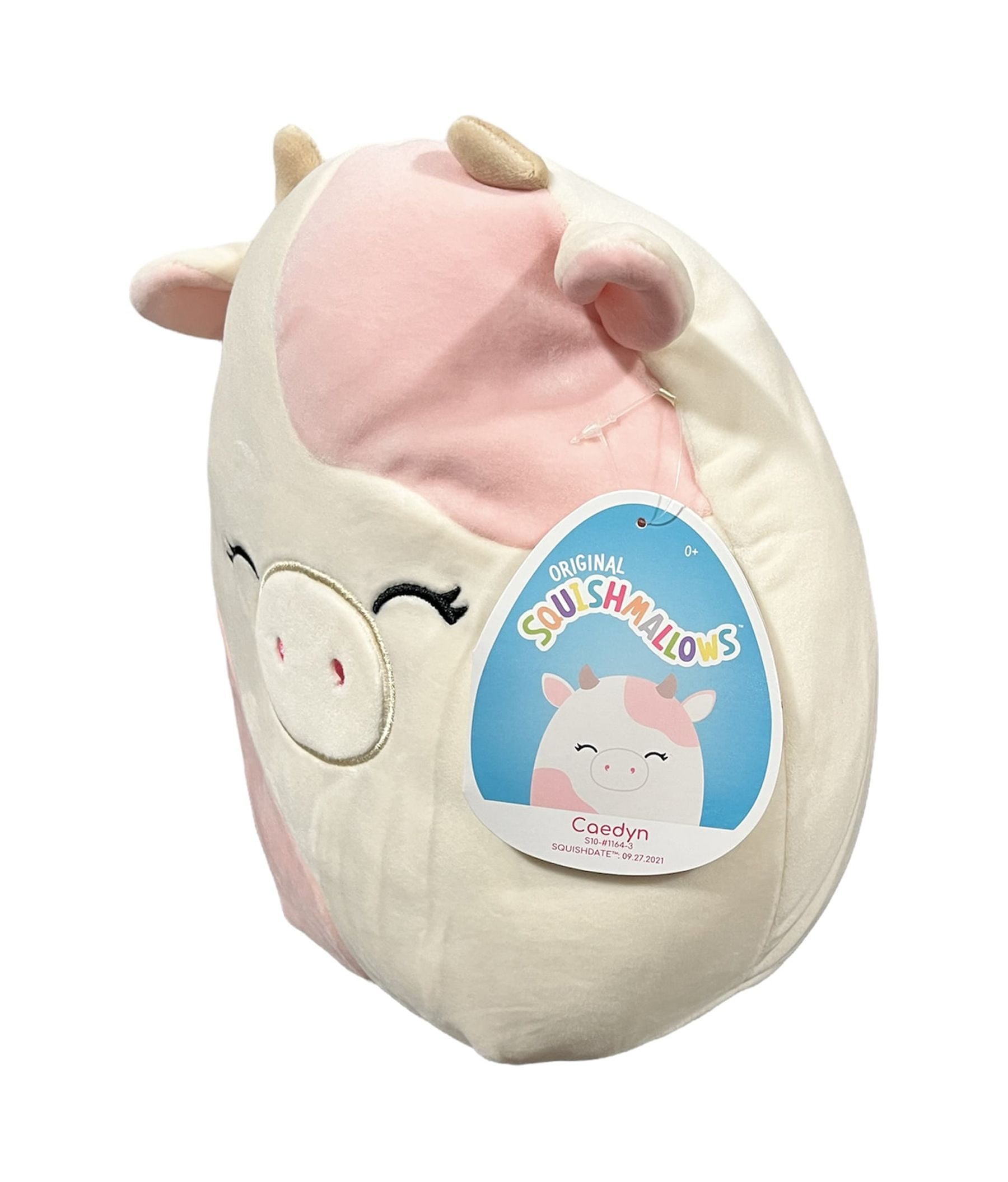 Caedyn Squishmallow Starbucks Cold Cup
