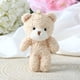 thumbnail image 3 of 10/30/50 piezas 12 cm lindo oso de peluche ruborizado conejo de dibujos animados animal de peluche muñecas juguetes llavero colgante pequeño regalo al por mayor, 3 of 5