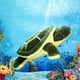 thumbnail image 4 of 7.95 x 6.22 x 3.74 inchesDark Green Sea TurtleAnimal de peluche de tortuga marina, juguete de peluche de tortuga suave, regalo de fiesta de cumpleaños para niños, niñas y niños, 4 of 5