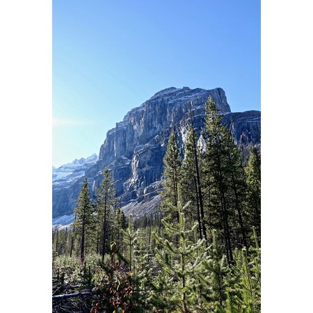 Canvas Print Scenery Peak Outdoor Mountain Wilderness Forest Stretched Canvas 10 X 14