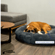 thumbnail image 2 of Camita Bienestar Cama Redonda Antiestrés para Perros Doble Vista Memory Foam Grande 100cm - Gris, 2 of 2