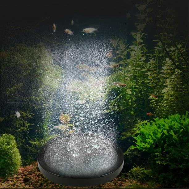 Piedra difusora de aire para acuarios, disco de repuesto para piedra de burbujas, bandeja de oxígeno, accesorios para acuarios