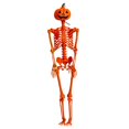thumbnail image 4 of Esqueleto de Halloween realista de 90 cm, accesorio espeluznante de cuerpo completo para colgar en la ventana del patio, la casa o la fiesta al aire l, 4 of 9