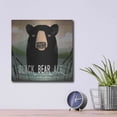 thumbnail image 4 of Luxe Metal Art 'Skinny Dip Black Bear Ale' by Ryan Fowler, Metal Wall Art, 12"x12", 4 of 9