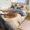 chudan, variant on Duvet Cover Queen Size Surfing Cat 3 Pcs Duvet Cover Set Bedding Sets Queen Soft Breathable