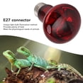 thumbnail image 4 of Bombilla de Calor para Reptiles E27 Roja Noche y Día Accesorio de Lámpara de Calor para Reptiles de Luz Suave Cálida Lámpara de Calor para Anfibios Animales ANGGREK Otros, 4 of 8